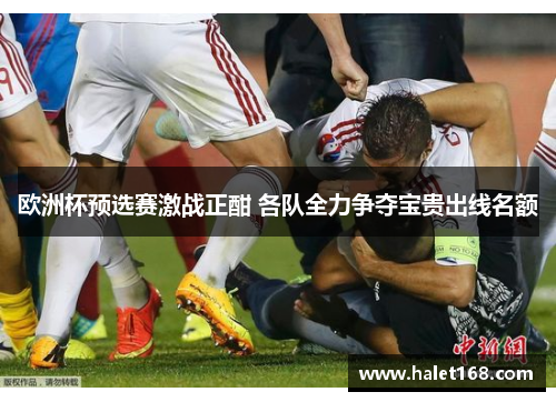 欧洲杯预选赛激战正酣 各队全力争夺宝贵出线名额